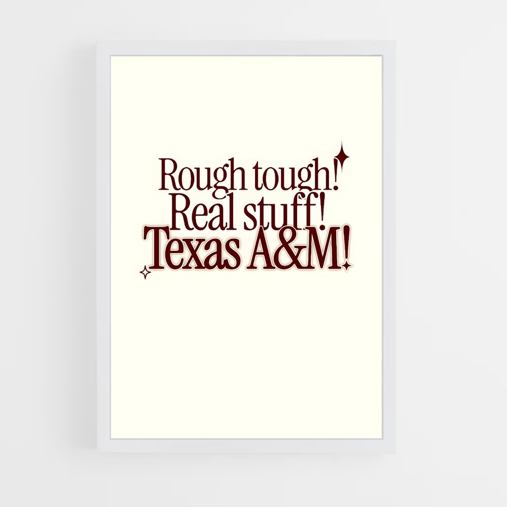 Poster Texas aandm Texanes – affiche Baseball (vue 3)